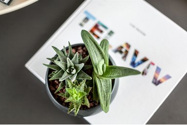 פנטהאוז היוקרה בבית השעון - פנטהאוז יוקרתי