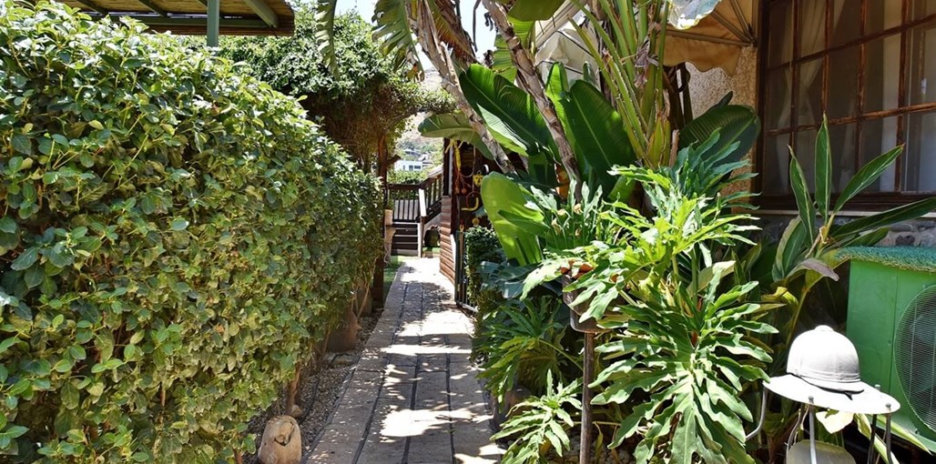 נופש תומר חצר (5).jpg