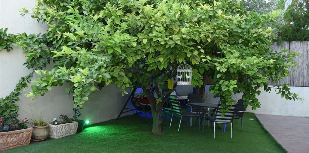 יחידת אירוח גל מרפסת פטיו וחצר (6).JPG