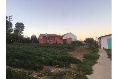 נופש כפרי בלוזית - החצר והבריכה