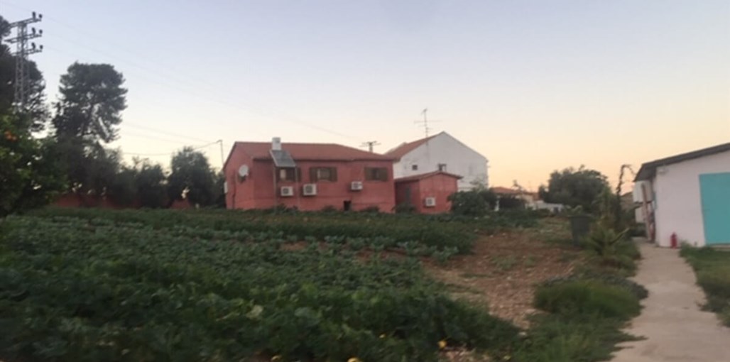 נופש כפרי בלוזית IMG_3901.JPG