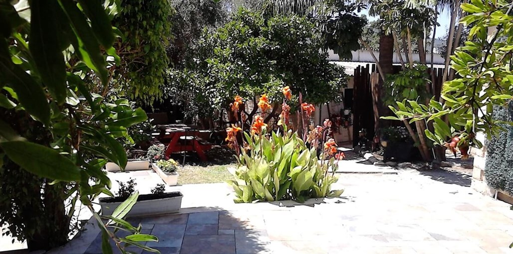 אחוזת רחלים הצימרים (11).jpeg