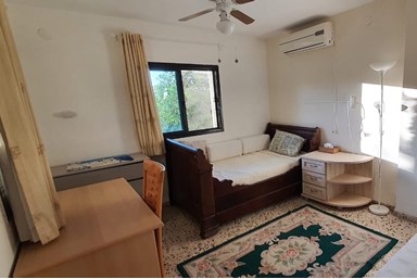 אורן מול הרים