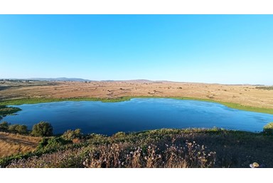 הבייתה של יהלי - בסביבה