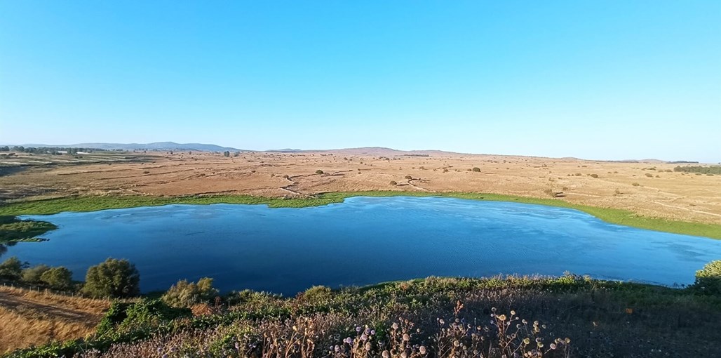 הבייתה של יהלי בסביבה (1).jpg
