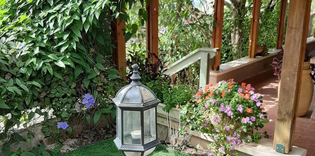 הרמוניה הרמוניה - הבריכה והחצר (10).jpg