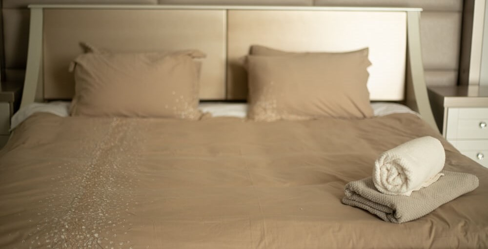 פנינת החרמון הצימר (1).jpg