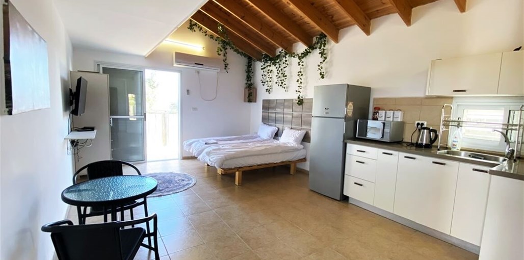 עדי נוף המדבר סטודיו (7).jpeg