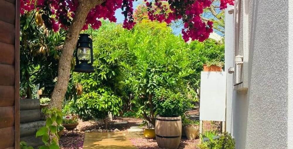 זיו הזריחה זיו הזריחה (16).JPG