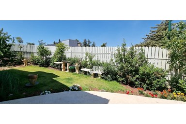 החן בירוק - החצר והסביבה