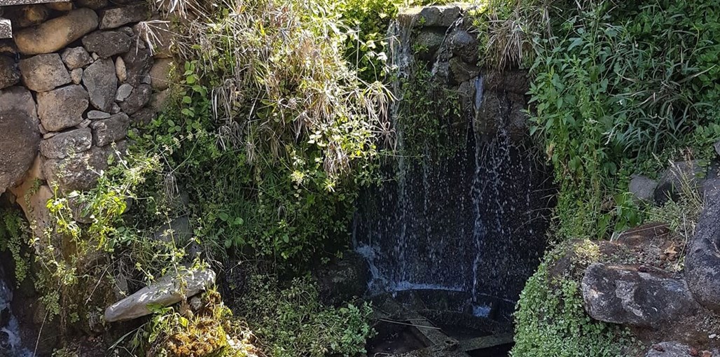 סטודיו ליד הנחל סטודיו ליד הנחל - הסביבה (1).jpg