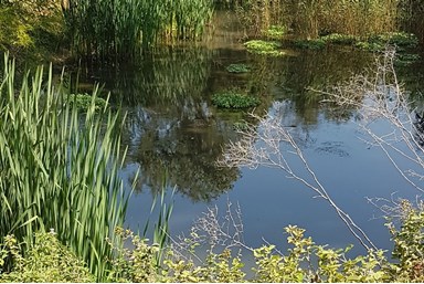 סטודיו ליד הנחל