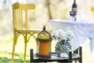 הילה - הרוח הגלילית