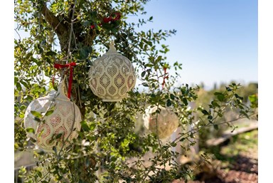 הילה - הרוח הגלילית