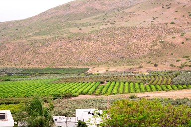 במושבה מול הכנרת - המרפסת והנוף