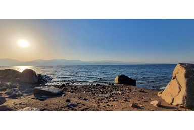 מלוני בוטיק - Melony Boutique