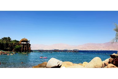 מלוני בוטיק - Melony Boutique - הסביבה