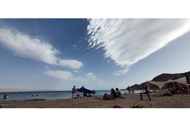 מלוני בוטיק - Melony Boutique