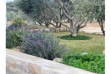 גרין פארק - החצר הבריכה והנוף 