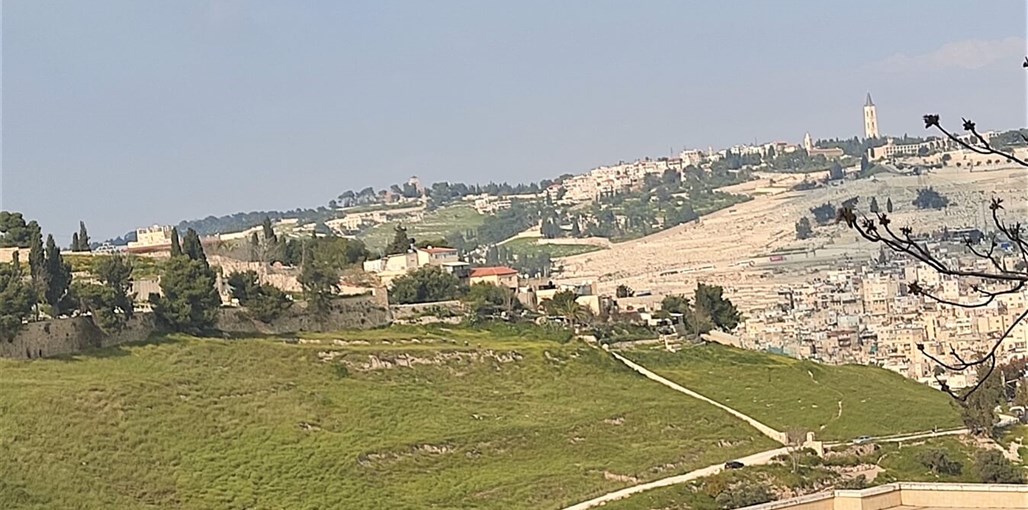 מול ציון מול ציון (16).jpg