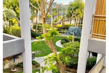 נויה ברויאל פארק