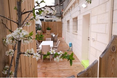 צימרים בלב הכפר - המרפסת, החצר והנוף