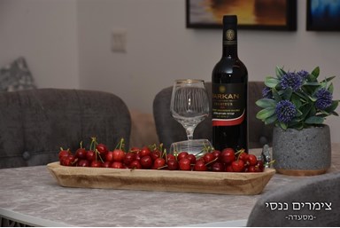 צימר ננסי - דירה 1