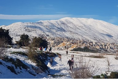 צימר אפרודיטה - החצר והסביבה