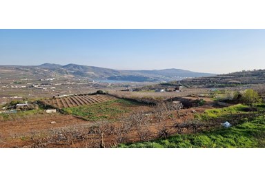 שופי נופש בחרמון - הבריכה, החצר והנוף