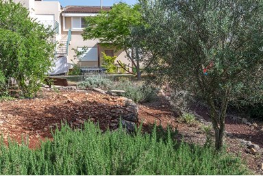 אורנופש בקצה החורש - החצר, הבריכה והנוף