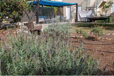 אורנופש בקצה החורש - החצר, הבריכה והנוף