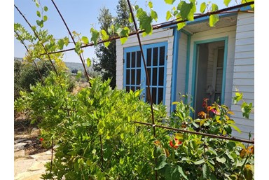 בית הסלע - החצר והסביבה