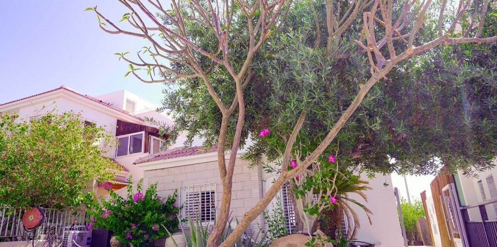 יחידת נופש עמית WhatsApp Image 2021-05-12 at 14.34.36 (25).jpeg