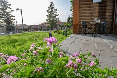 גן הדובדבנים - החצר