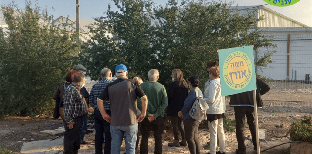 בצל הארגן משק (2).png