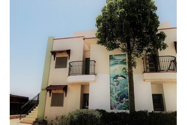 אמדר וילג'  - בסביבה