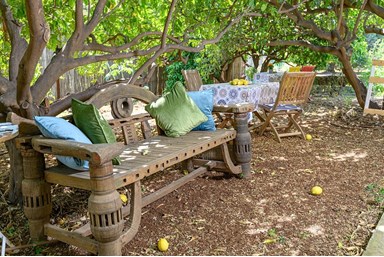 אדמאיה - בחצר