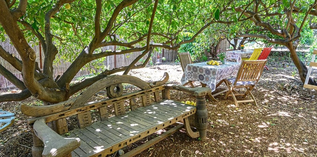 אדמאיה AL6_2074.jpg