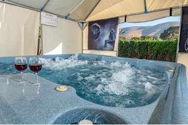 פנינת הדקל - בקתות העץ