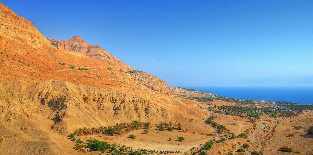 בר סוויט עין גדי בר סוויט עין גדי - בסביבה (9).JPG