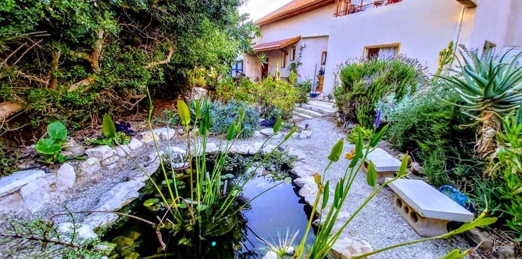 עין מור מצפה רמון נמרוד (9).jpg