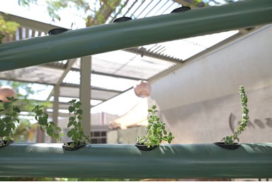 סול מצפה רמון - מתחם החוץ