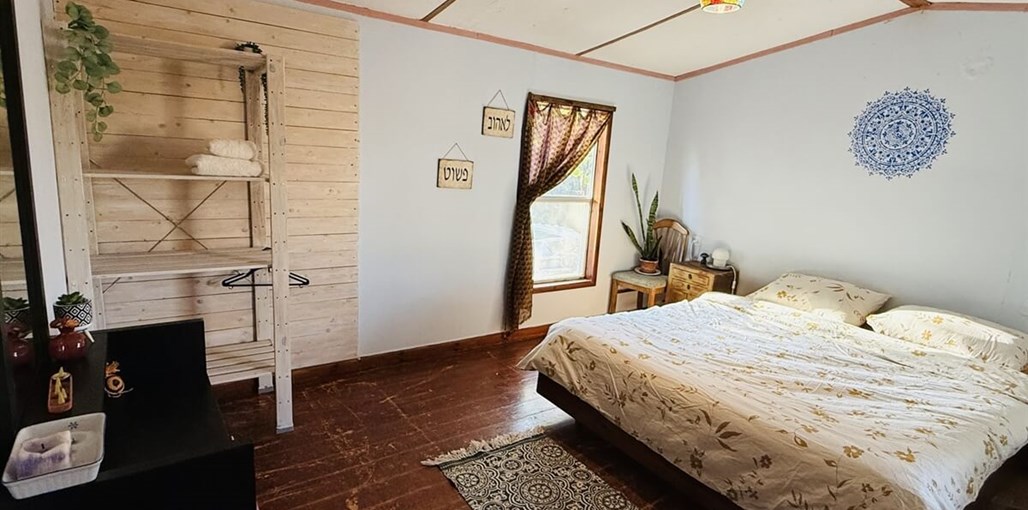 ירוק במדבר IMG_2103.JPG