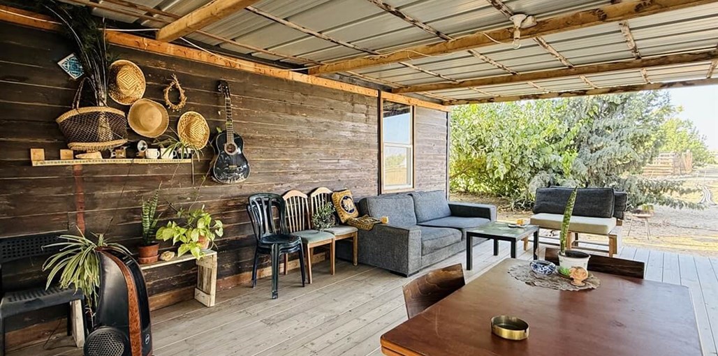 ירוק במדבר IMG_2071.JPG