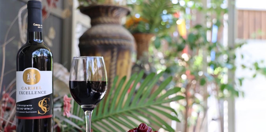 הסוויטה המפוארת 500 מטר מהים חצר 500 מטר מהים.JPG