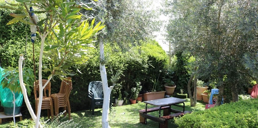 פינת היקינטון יקינטון חדש 9.6 (5).jpg