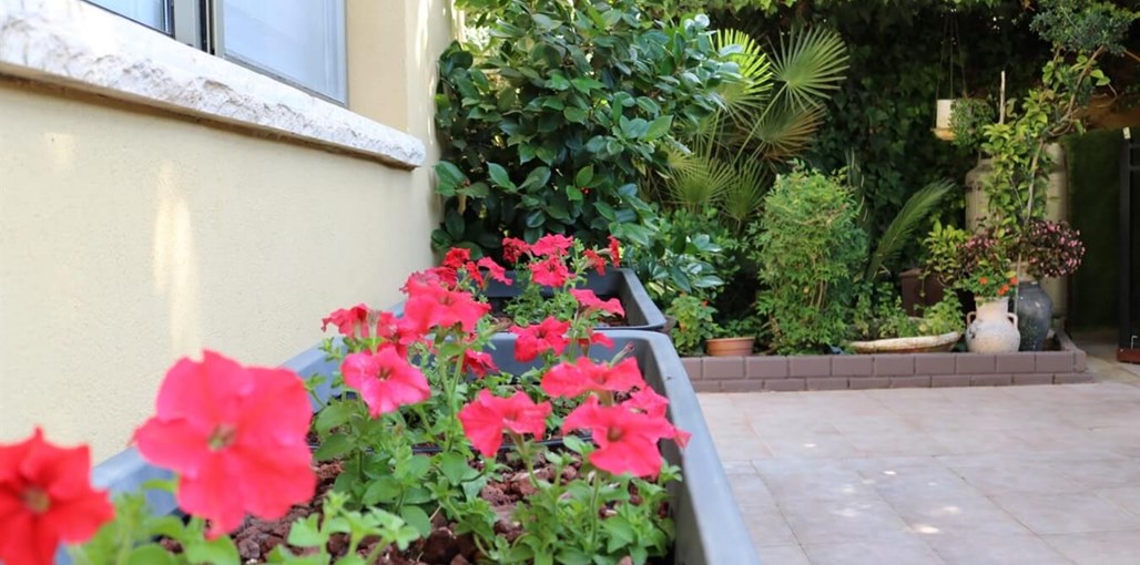 פינת היקינטון יקינטון חדש 9.6 (9).jpg