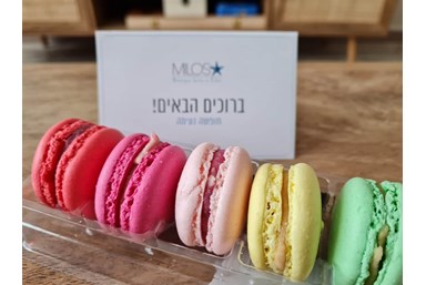 סוויטת מילוס - דירת הנופש