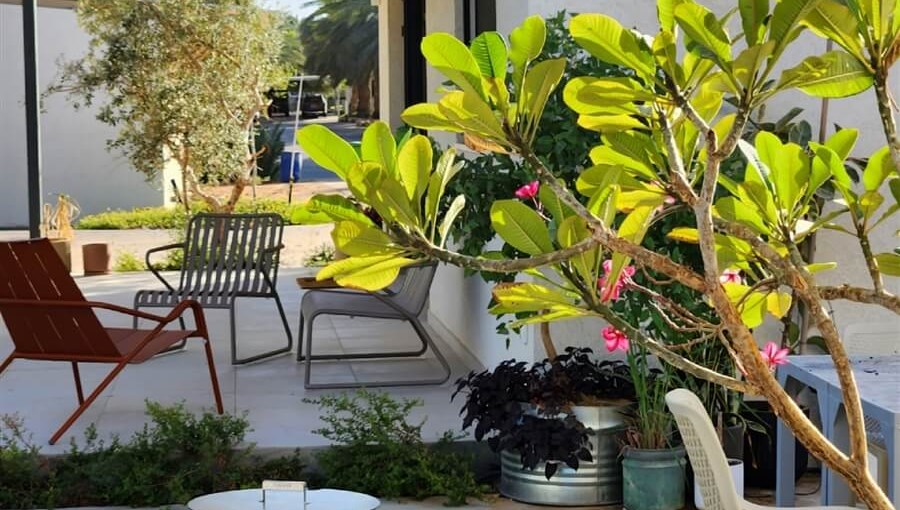 בי 166 חצבה - B166 חצבה מתחם חוץ (7).jpg