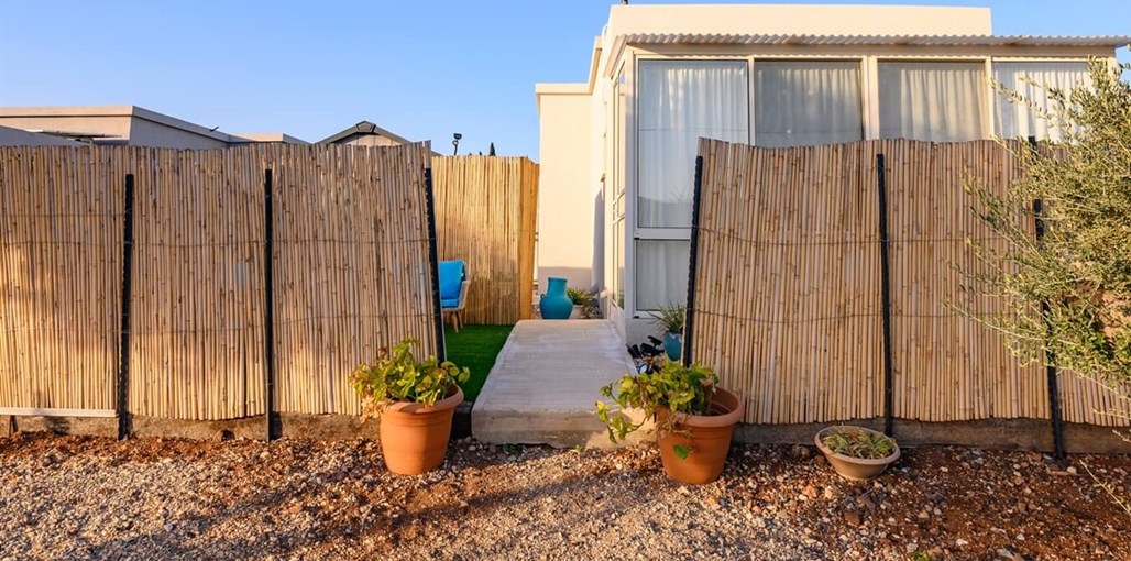 תמר ברמה חצר (1).jpg